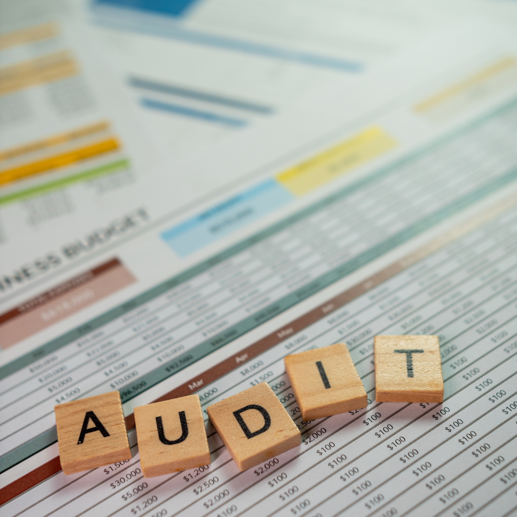Audit Report
