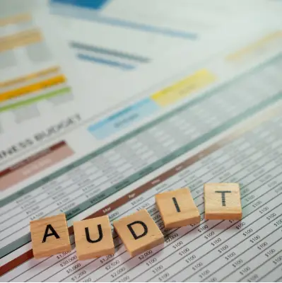 Audit Report